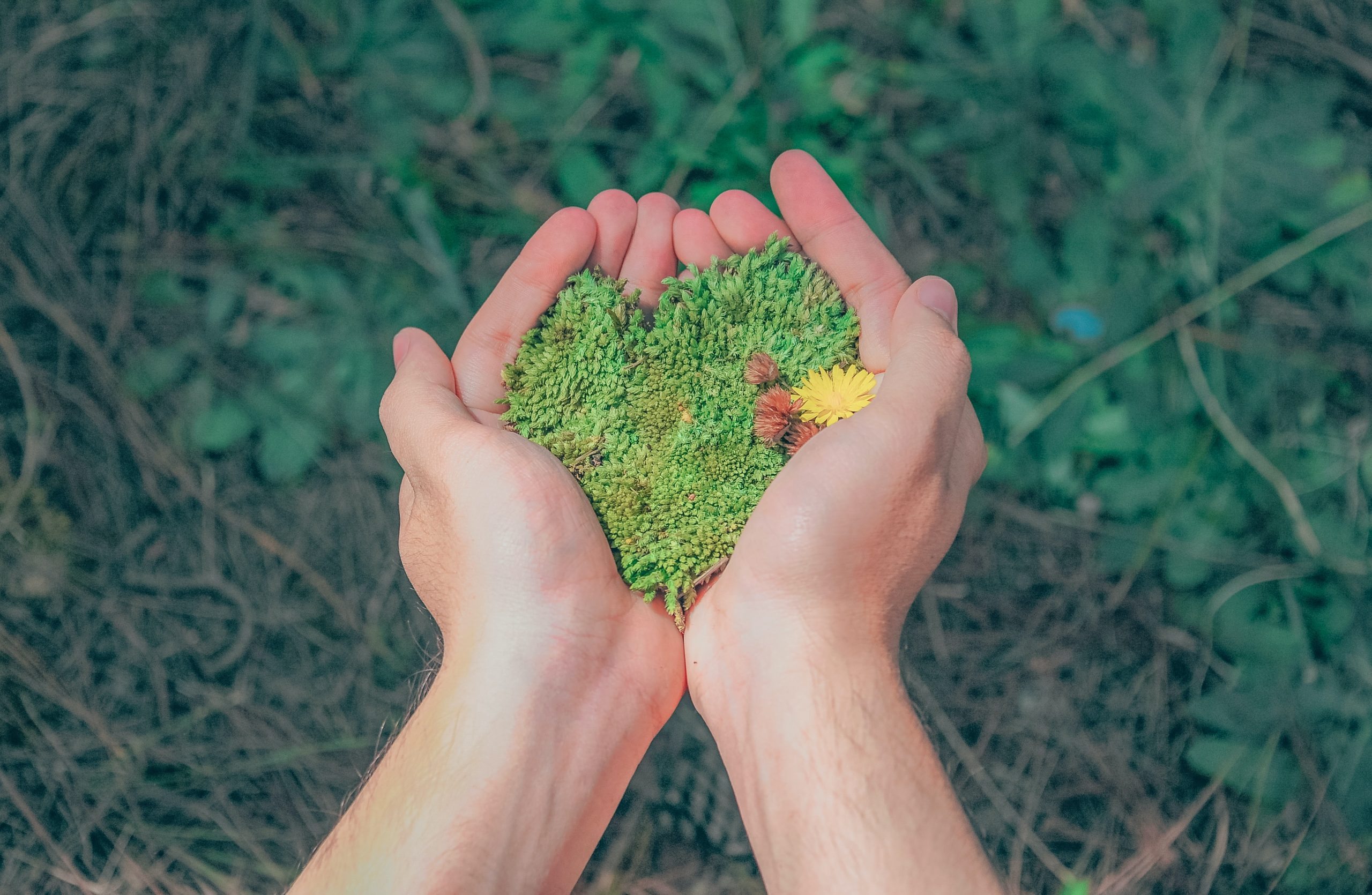 Giornata mondiale dell'ambiente; comunicazione d'impresa; impresa; pianeta;