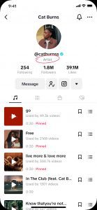 TikTok; artisti; Artist Tag TikTok; creator su TikTok; Artista TikTok; nuove funzionalità TikTok 2024; social media news